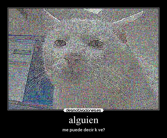 alguien - me puede decir k ve?