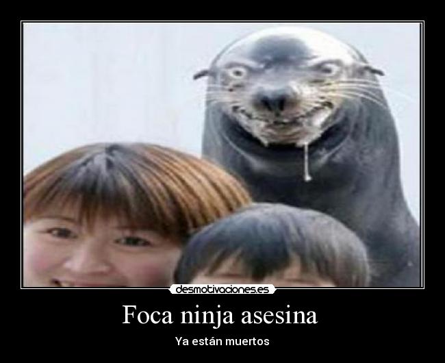 Foca ninja asesina  - 