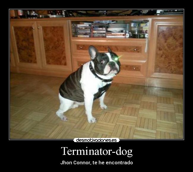 Terminator-dog - 