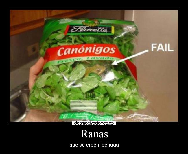 Ranas -
