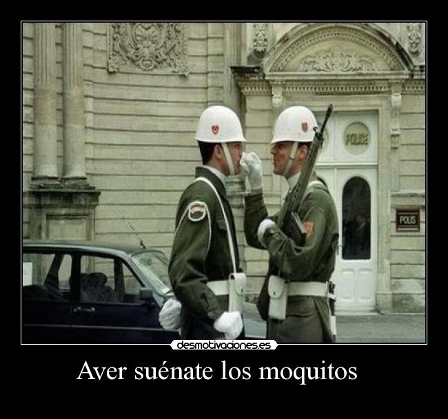 Aver suénate los moquitos   - 