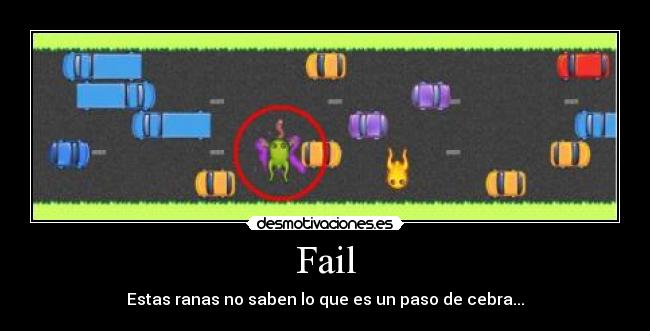 Fail - Estas ranas no saben lo que es un paso de cebra...