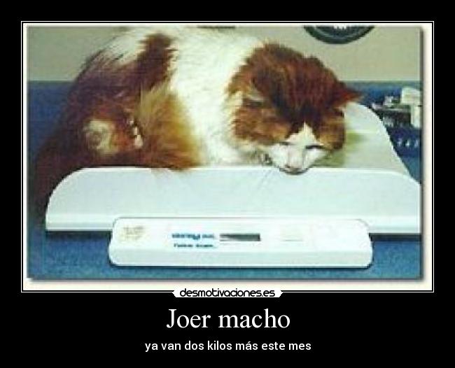 Joer macho - ya van dos kilos más este mes