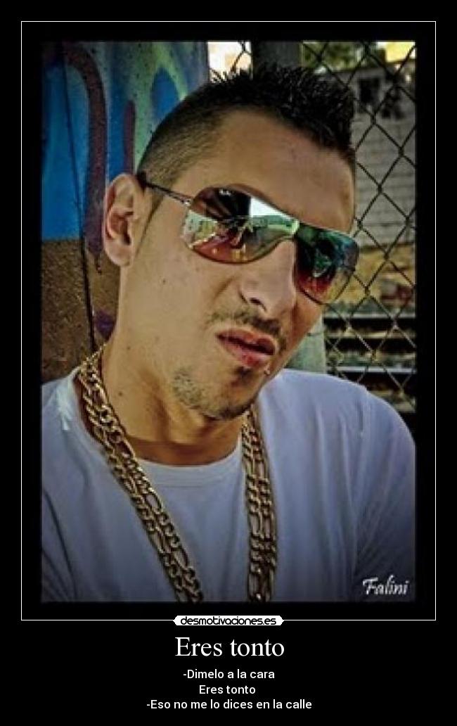 carteles tonto eres tonto desmotivaciones