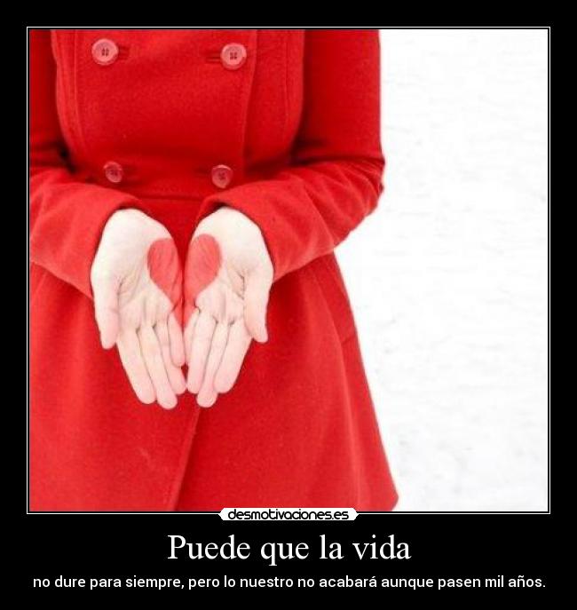 carteles vida vida desmotivaciones