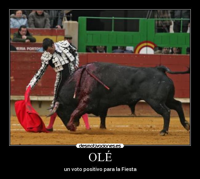 OLÉ -