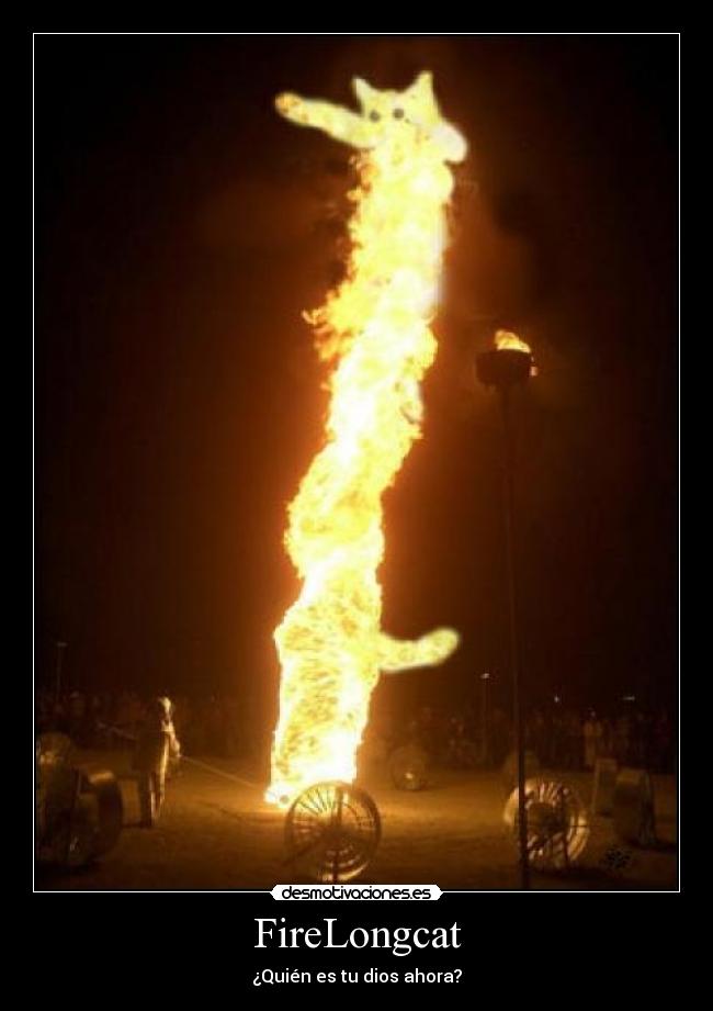 carteles fire longcat desmotivaciones