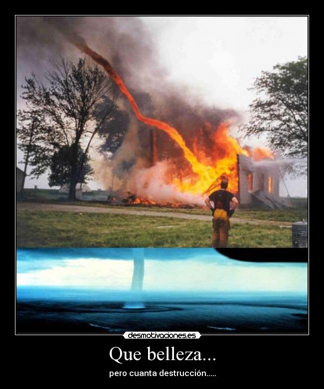 Que belleza... - pero cuanta destrucción.....