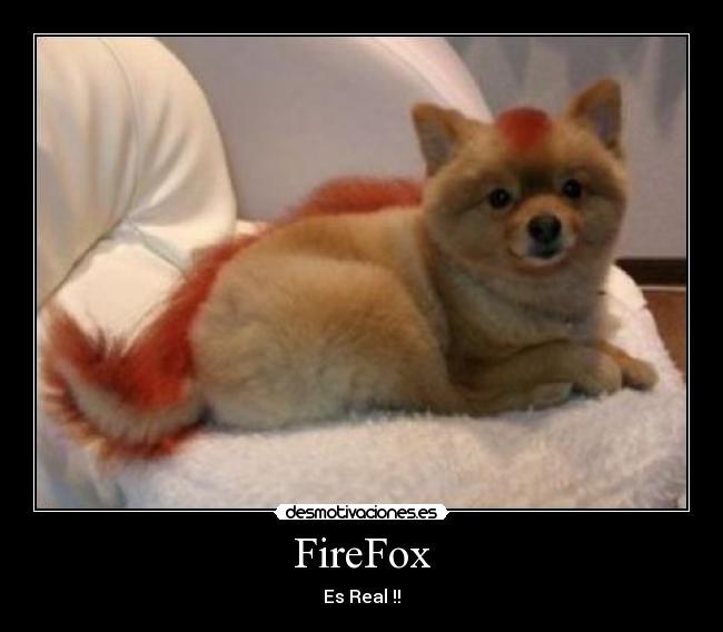 FireFox - Es Real !!