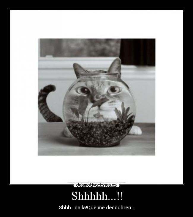 Shhhhh...!! - Shhh...calla!Que me descubren...
