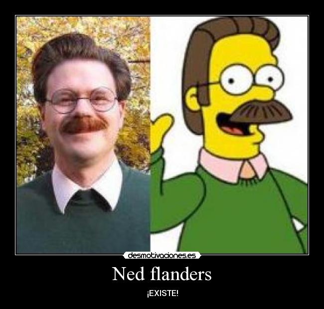 Ned flanders -