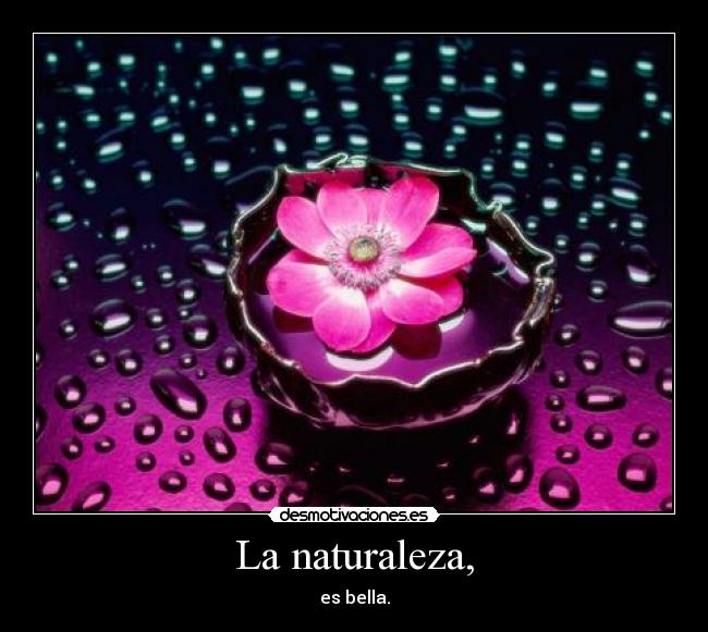 La naturaleza, - es bella.