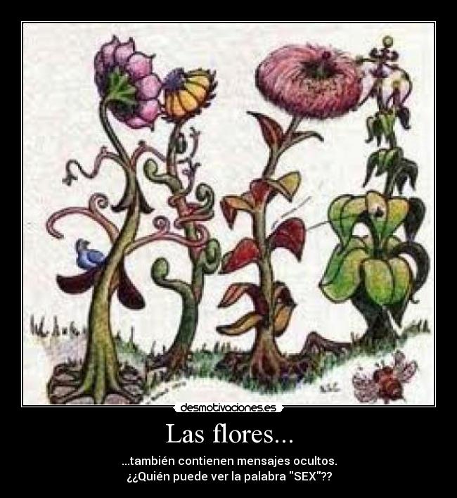 Las flores... - 