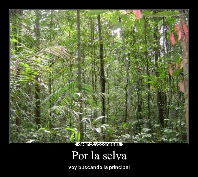 Por la selva -