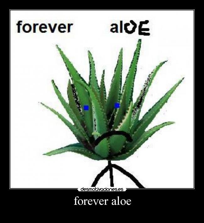 forever aloe - 