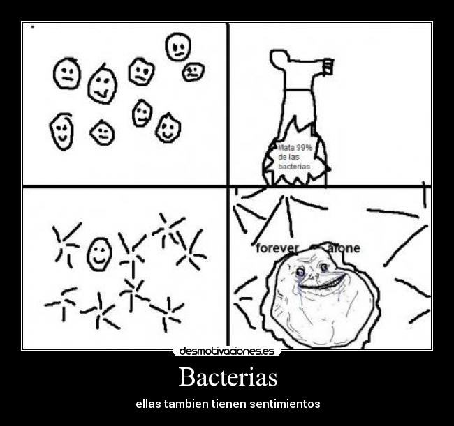 Bacterias - 