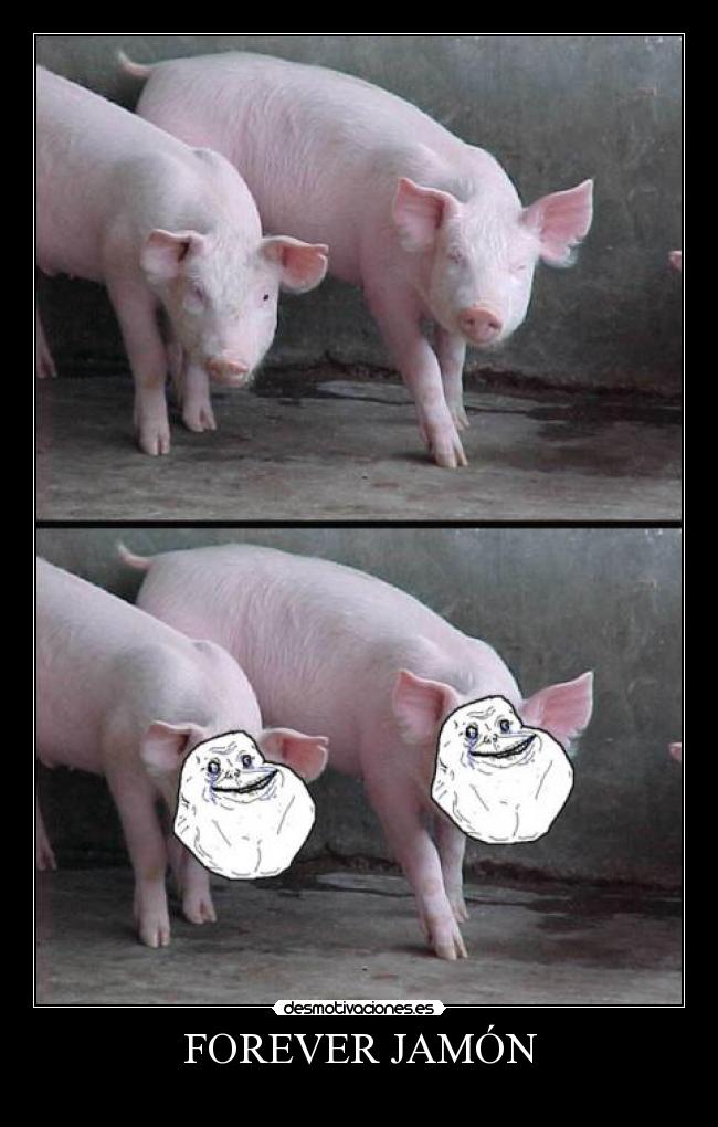 FOREVER JAMÓN -