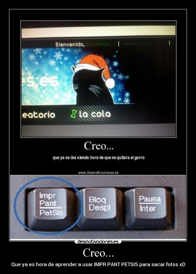 Creo... - Que ya es hora de aprender a usar IMPR PANT PETSIS para sacar fotos xD