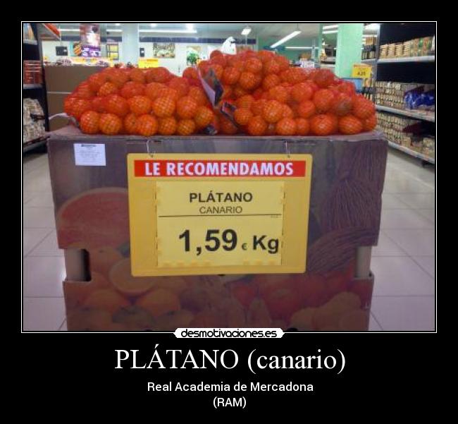PLÁTANO (canario) - Real Academia de Mercadona
(RAM)