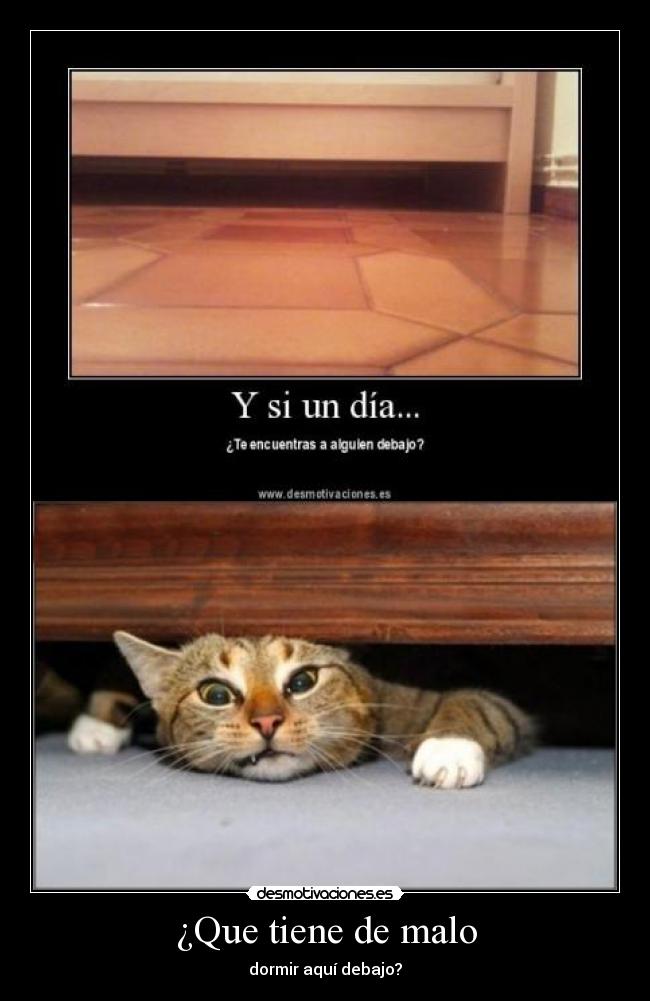 ¿Que tiene de malo - dormir aquí debajo?