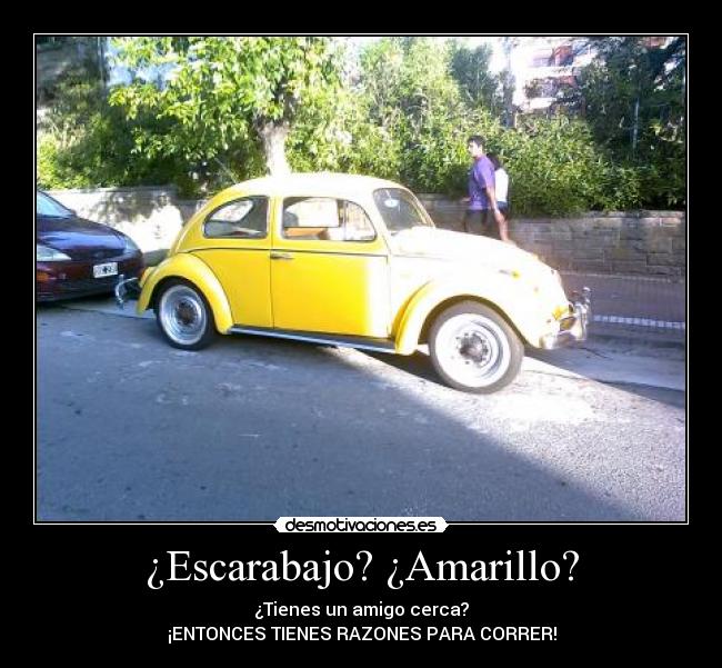 ¿Escarabajo? ¿Amarillo? - ¿Tienes un amigo cerca?
¡ENTONCES TIENES RAZONES PARA CORRER!