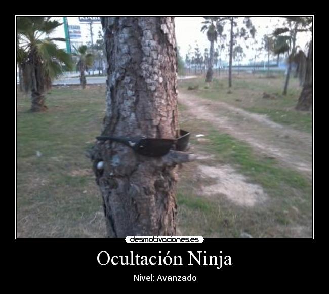 Ocultación Ninja - Nivel: Avanzado