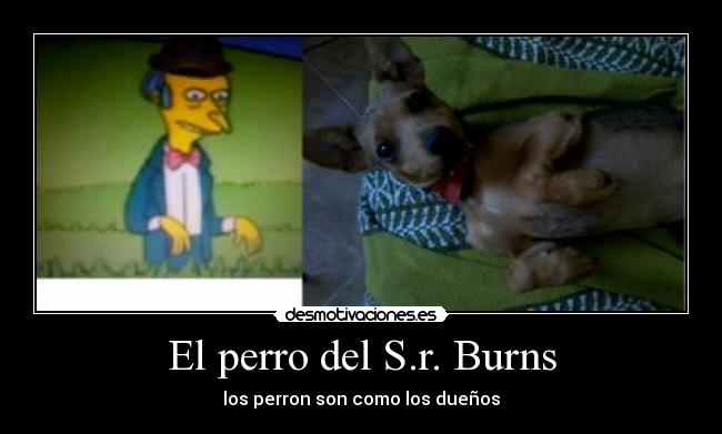 El perro del S.r. Burns - los perron son como los dueños