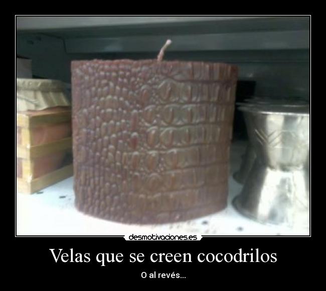 Velas que se creen cocodrilos - 