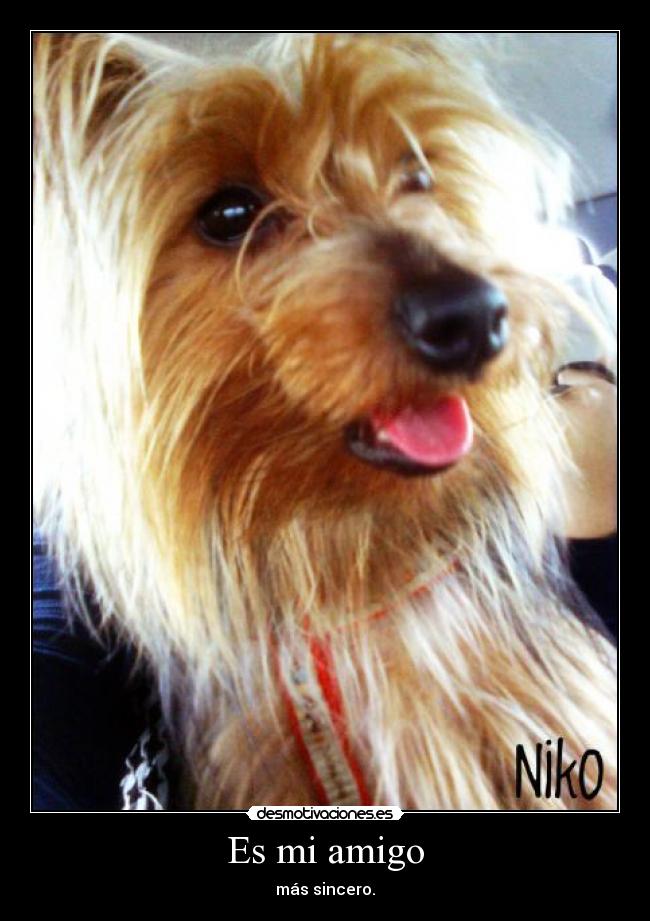 Es mi amigo -