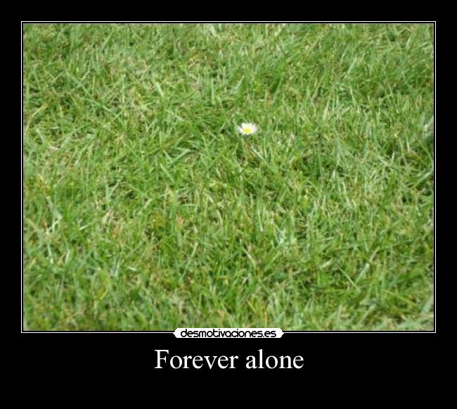 Forever alone - 
