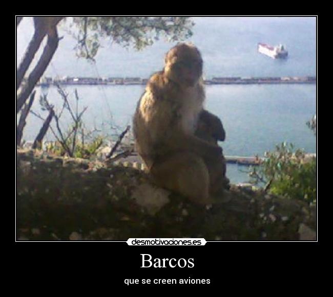 Barcos - que se creen aviones