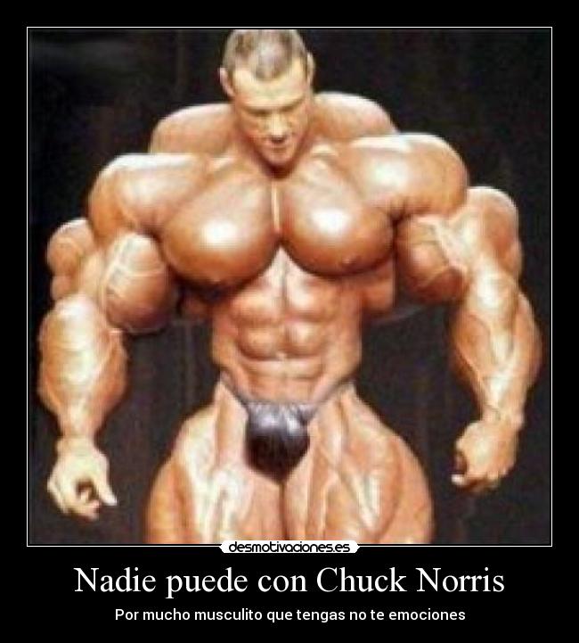 Nadie puede con Chuck Norris - 