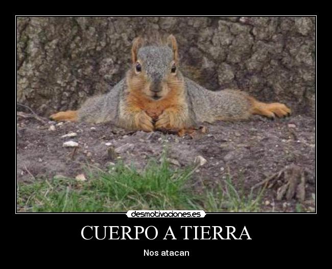 CUERPO A TIERRA - Nos atacan
