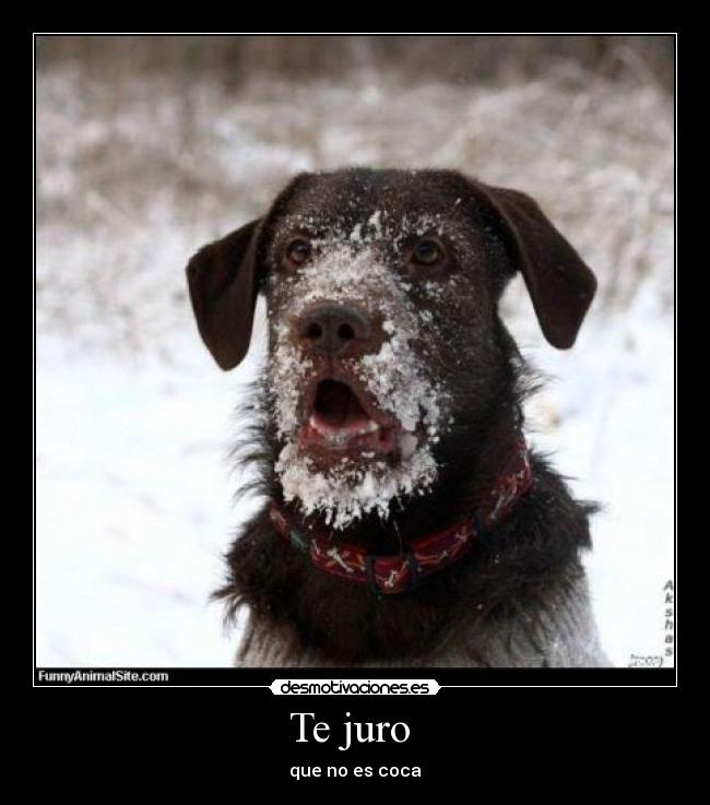 Te juro  - 