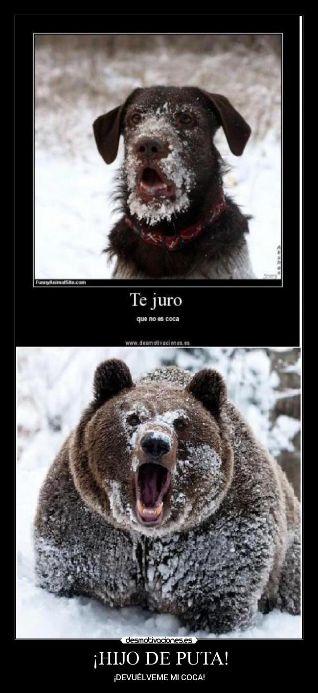 ¡HIJO DE PUTA! - 
