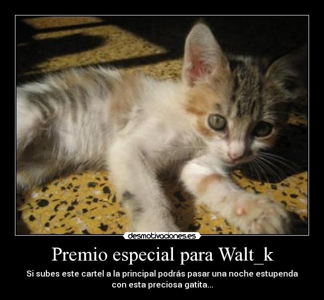 Premio especial para Walt_k -