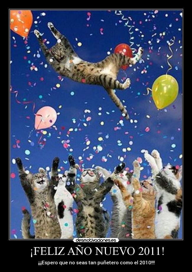 ¡FELIZ AÑO NUEVO 2011! - 