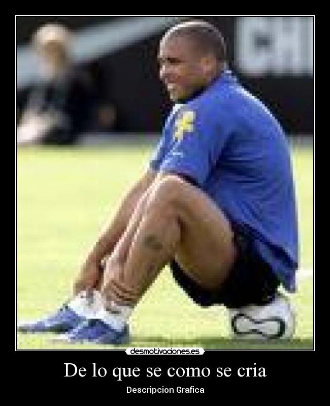 De lo que se como se cria - Descripcion Grafica