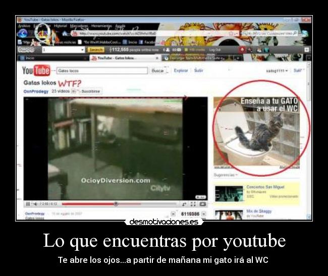 Lo que encuentras por youtube - Te abre los ojos...a partir de mañana mi gato irá al WC