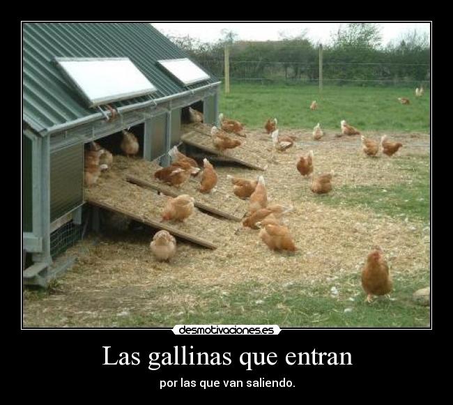 carteles xdd desmotivaciones