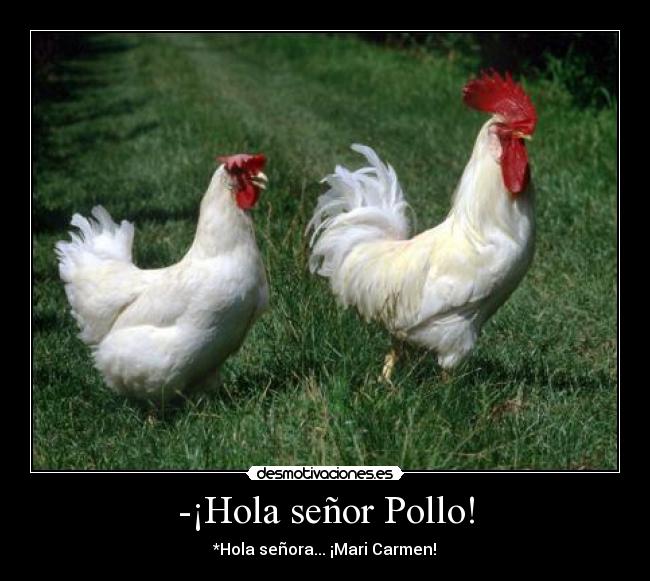-¡Hola señor Pollo! - *Hola señora... ¡Mari Carmen!