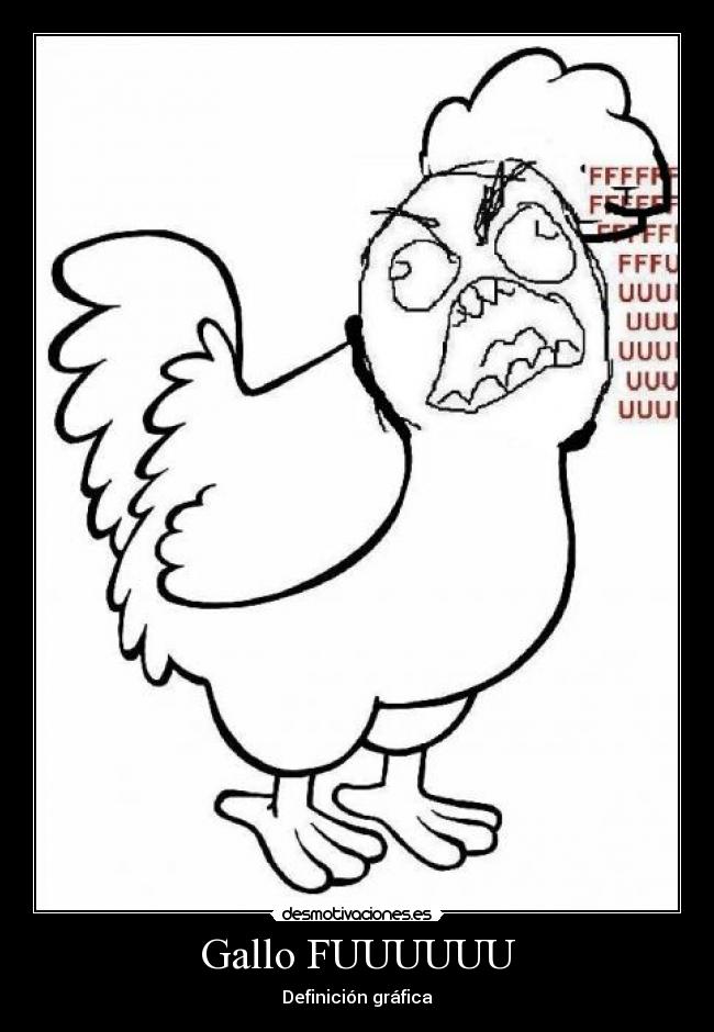 Gallo FUUUUUU -