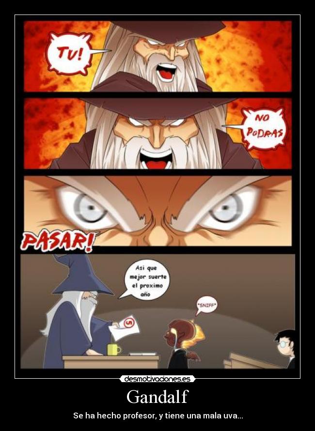 Gandalf - Se ha hecho profesor, y tiene una mala uva...