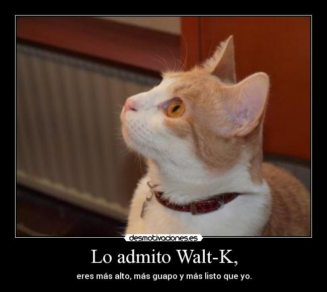 Lo admito Walt-K, - 