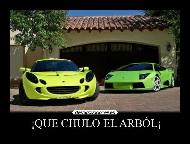 ¡QUE CHULO EL ARBÓL¡ -