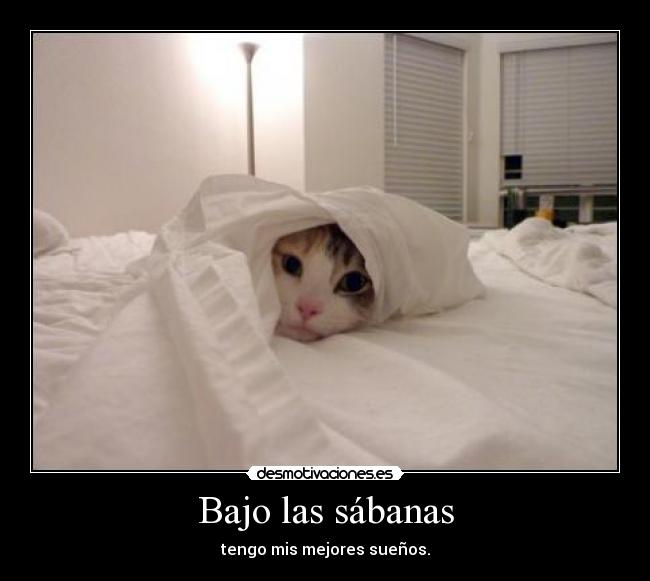 Bajo las sábanas - 