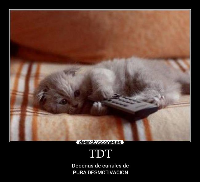 carteles tdt television gato gatito desmotivacion desmotivaciones