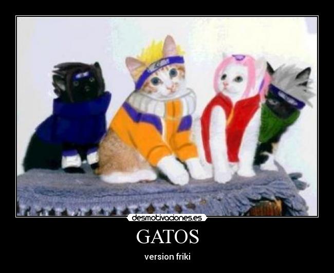 GATOS - version friki