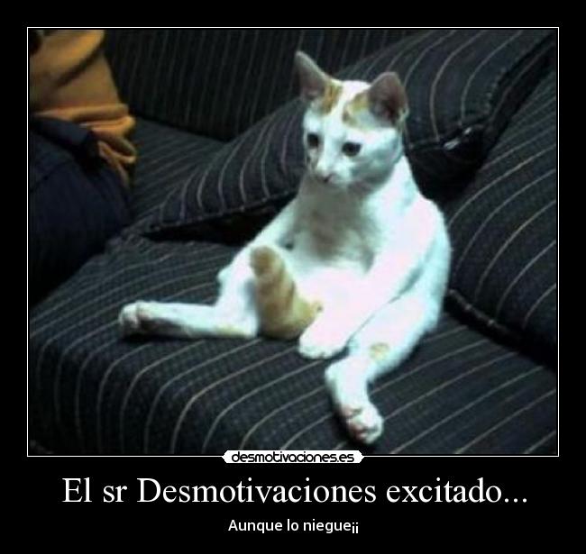 El sr Desmotivaciones excitado... -