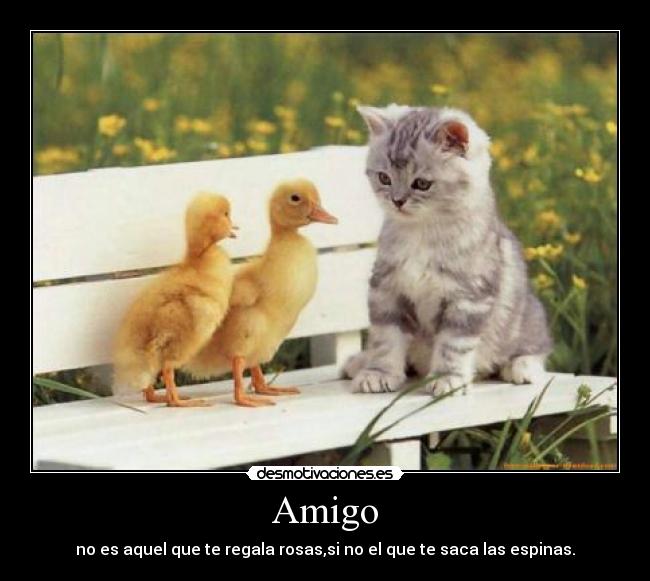 carteles mariuki desmotivaciones